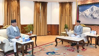 राष्ट्रपति पौडेल र प्रधानमन्त्री प्रचण्डबिच भेट
