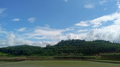 असार सकिनै लाग्दा देशभर ६७.३ प्रतिशत राेपाइँ