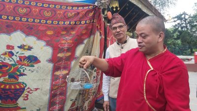 मछिन्द्रनाथको जात्रा सकिएकाे जानकारी दिन जाेडी भंगेरा उडाइयाे, सप्तपातल पाेखरीमा&hellip;