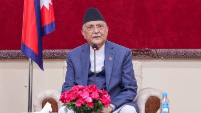 लामखुट्टेको प्रजननस्थल नष्ट गर्ने अभियान देशव्यापी सञ्चालन गर्न प्रधानमन्त्रीको आह्वान