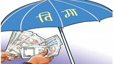एघार अर्ब ८२ करोड बराबरको बिमा दाबी
