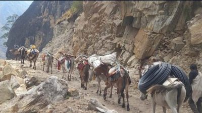 मुगुमकार्मारोङमा अझै पुगेन सडक, घोडा तथा खच्चडको भरमा समाग्री ओसारपसार