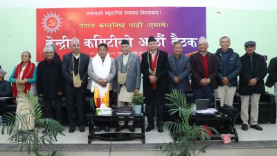 एकीकृत समाजवादीका केन्द्रीय सदस्य एमालेमा