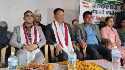 पूर्वविशिष्टलाई सुविधाकाे हल्लाकाे पछि नलागाैं : उपप्रधानमन्त्री सिंह