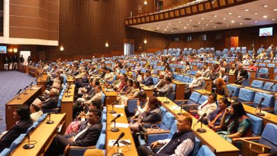 प्रतिनिधिसभाको बैठक: विद्युत् आपूर्तिमा देखिएको समस्या समाधान गर्न माग