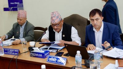 विद्यालय शिक्षा विधेयकमा जुट्यो सहमति, शिक्षा समितिले भोलि पारित गर्ने