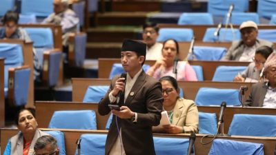 संसदमा सुहाङले उठाए एम्बोस्ड नम्बर प्लेटको औचित्यमाथि प्रश्न
