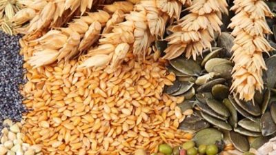 आज ४५औं विश्व खाद्य दिवस मनाइँदै