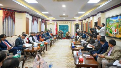 संविधान जोगाउन चुनावमा लाग्न दलहरुलाई राष्ट्रपतिको आग्रह