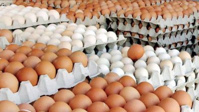 अण्डाको मूल्य बढ्यो