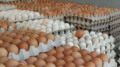 अण्डाको मूल्य क्रेटमा १५ रुपैयाँले बढ्यो