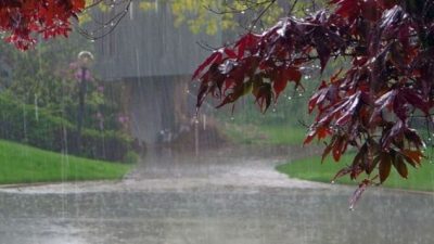 पश्चिमी न्यूनचापीय प्रणालीको प्रभाव : देशका विभिन्न क्षेत्रमा वर्षा र&hellip;