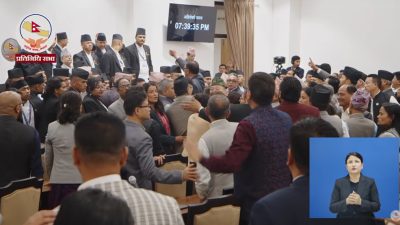 विपक्षीको विरोधबीच प्रतिनिधिसभा नियमावली पारित, सभामुखलाई व्याख्याको अन्तिम अधिकार