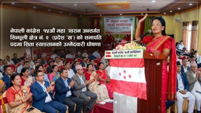 कांग्रेस प्रदेश सभापतिमा सिताको उम्मेदवारी घोषणा